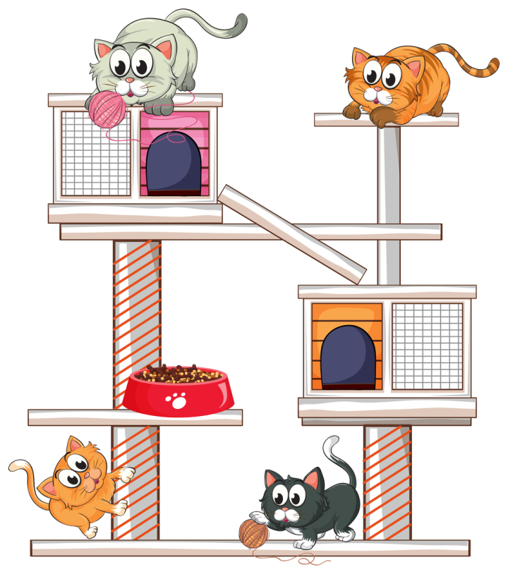 Cat Condo - Download