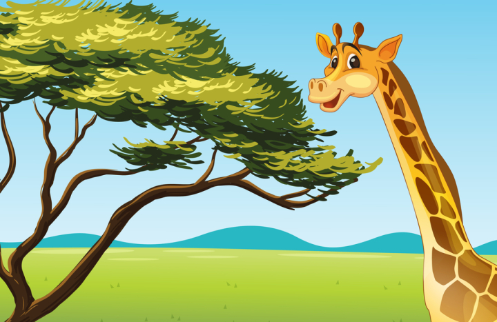 tree,leaves,leaf,african,africa,savannah,object,white,background,element,cartoon,graphic,animal,mammal,giraffe,exotic,safari,long,tall,big,large,neck,pattern,fur,spots,spotted,friendly,character,cute,expression