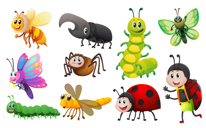 Free: Different kinds of insects - nohat.cc