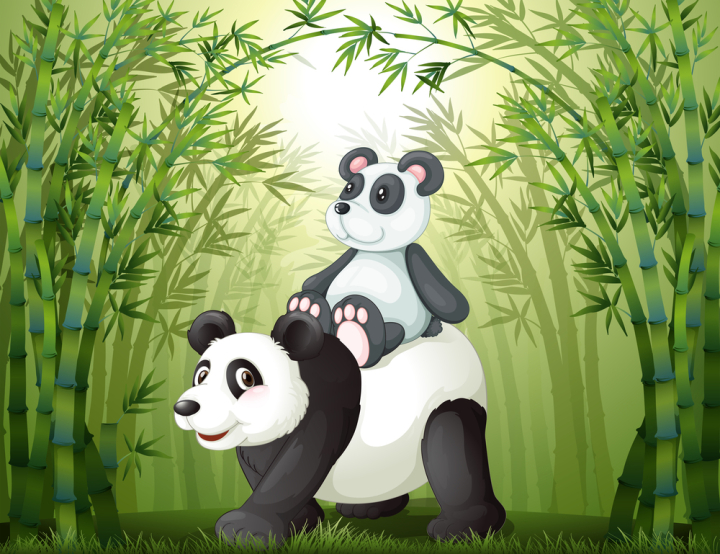 illustration,drawing,image,panda,animal,big,giant,mammal,baby,little,four-legged,white,black,hairy,bamboo,plantation,forest,rainforest,tree,stick,plants,leaves,grass,weeds,green,pic. picture,illusration,cartoon,clipart,clip-art