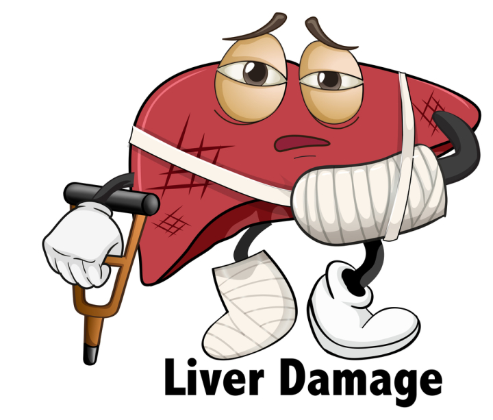 human,organ,liver,damage,health,illustration,vector,healthy,care,concept,anatomy,science,biology,body,icon,healthcare,symbol,design,graphic,isolated,picture,clipart,clip-art,clip,art,background,drawing,image,medical,diagram