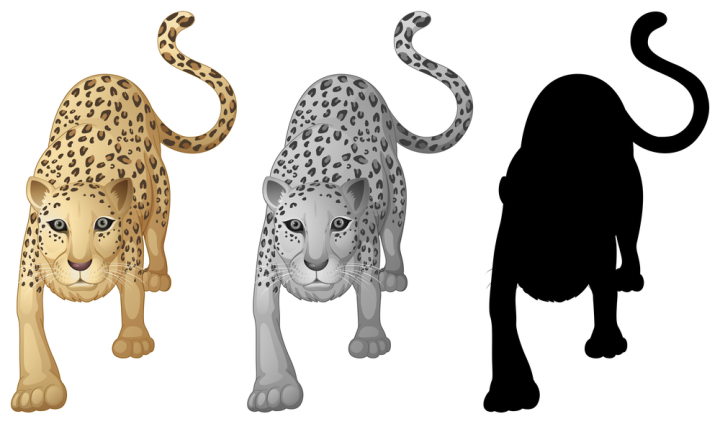 set,collection,character,illustration,cartoon,vector,animal,isolated,wild,design,nature,wildlife,mammal,africa,graphic,grey,silhouette,colour,cheetah,leopard,tiger,picture,clipart,clip-art,clip,art,background,drawing,image,exotic