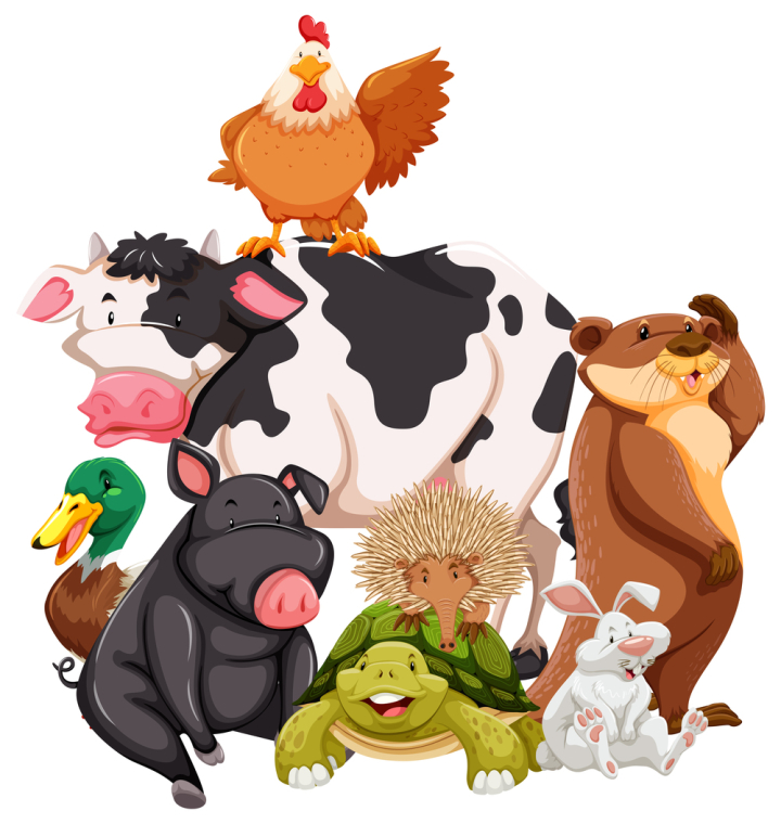illustration,graphic,drawing,cartoon,picture,clipart,isolated,on white,white,white background,wallpaper,background,backdrop,theme,style,design,pattern,banner,poster,wild,wildlife,wilderness,animal,nature,creature,living,mammal,domestic,pig,turtle