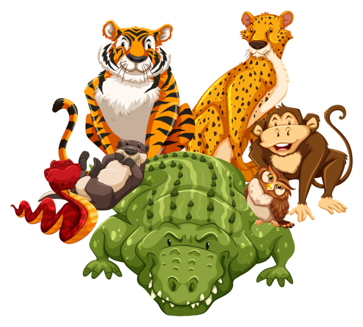 illustration,graphic,drawing,cartoon,picture,clipart,isolated,on white,white,white background,wild,wildlife,animal,nature,creature,living,mammal,exotic,tropical,carnivore,natural,endangered,tiger,crocodile,alligator,snake,beaver,otter,owl,monkey
