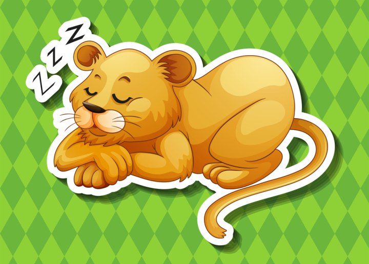 wild,wildlife,animal,nature,creature,living,mammal,exotic,tropical,carnivorous,cub,lion,safari,one,single,alone,close up,sleeping,resting,background,wallpaper,character,cartoon,element,graphics,digital,illustration,graphic,picture,clipart