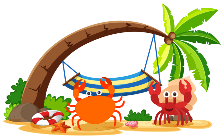 wildlife,animal,nature,creature,living,mammal,exotic,tropical,isolated,white,clipping,path,object,crab,hermit crab,marine,aquatic,beach,character,summer,holiday,vacation,simple,fun,funny,cartoon,illustration,graphic,picture,clipart