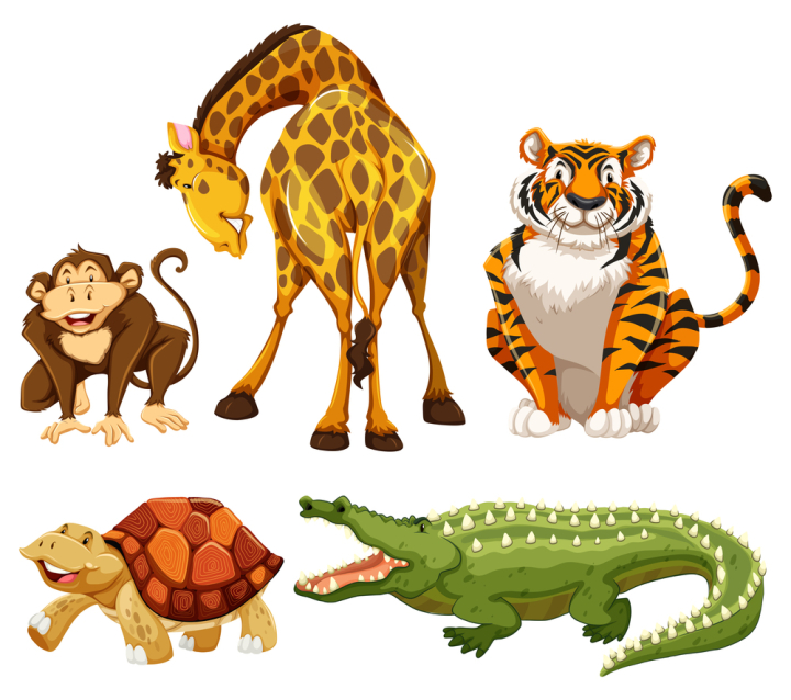 illustration,graphic,drawing,cartoon,picture,clipart,isolated,on white,white,white background,background,backdrop,theme,style,design,beautiful,wallpaper,wild,wildlife,wilderness,animal,nature,creature,living,mammal,characters,monkey,giraffe,tiger,crocodile