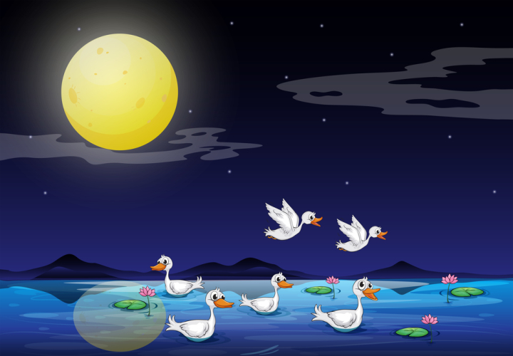 400+ Beautiful Scenery With A Duck Stock Illustrations, Royalty-Free Vector  Graphics & Clip Art - iStock