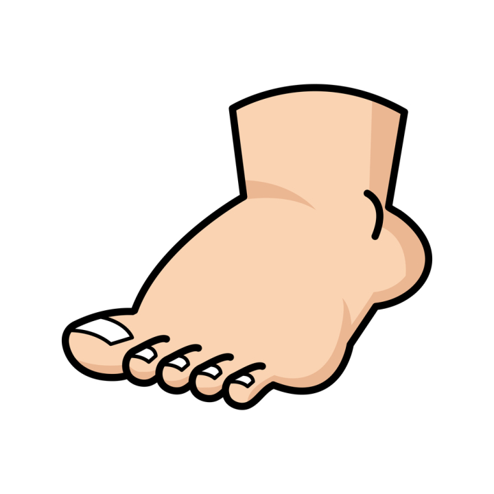 Free: Foot cartoon vector icon 