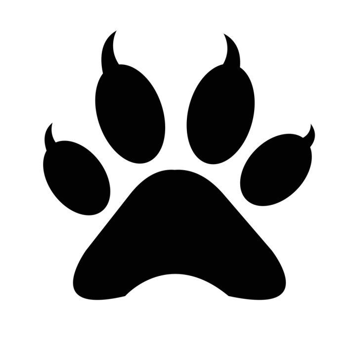 animal,background,bear,cat,claws,dog,foot,illustration,mammal,outline,paw,pet,print,puppy,shape,silhouette,toe,trace,walk,wild,wildlife,footprint,white,design,vector,claw,nature,graphic,icon,cartoon