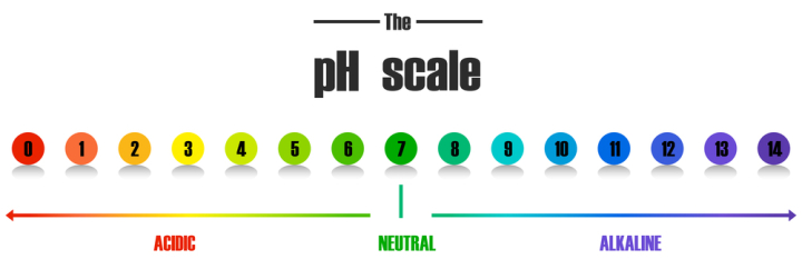 Ph Scale Images - Free Download on Freepik