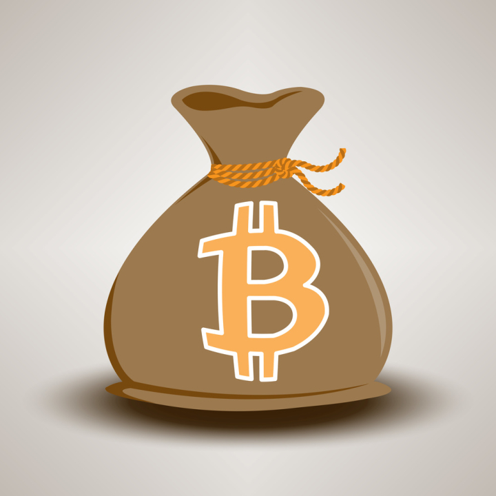 btc,bitcoin,bag,money bag,cryptocurrency,currency,commerce,digital,exchange,sign,monetary,coin,symbol,payment,money,logo,banking,illustration,mining,e-commerce,web,business,vector,virtual,internet,trade,economy,electronic,cash,cryptography