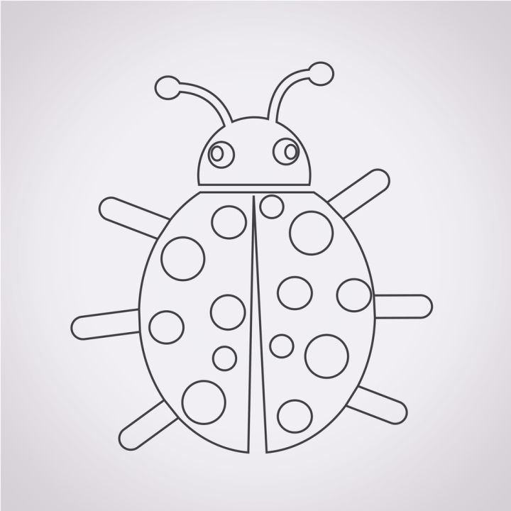 animal,beetle,bug,cockroach,creature,dragonfly,fly,icon,illustration,insect,ladybug,nature,pest,scarab,sign,symbol,vector,wild,wildlife,wing,isolated,mosquito,ant,spider,pest control,white,control,graphic,set,drawing