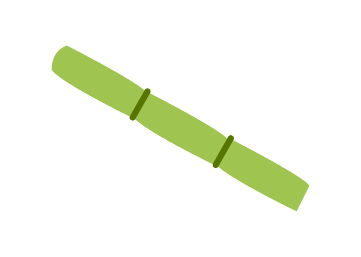 Free: green sugar cane vector - nohat.cc