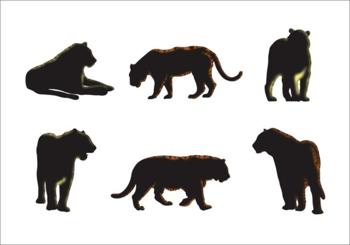 tiger,animal,nature,mammal,silhouette,safari,wildlife,wild,carnivore,tail,siberian tiger,bengal tiger,wild cat,big cats,tiger silhouette,animal silhouette,cat,zoo,predator,jungle,wilderness,fauna,wild animal,beast,head,black,africa,silhouettes,stripes,hunter