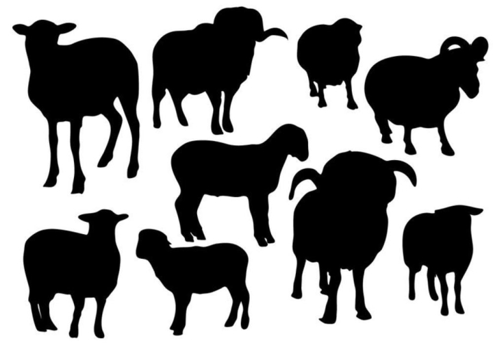 lamb,animal,sheep,black,nature,pasture,meat,mammal,ram,meal,meadow,milk,white,wool,young,thread,sheep silhouette,goat,vector,illustration,graphic,drawing,clipart,farm,isolated,art,picture,image,background,creature