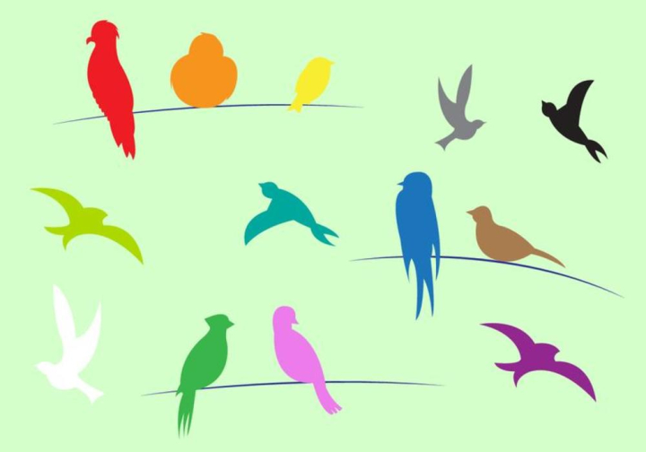 birds,wire,colorful,silhouette,line,cute,group,cable,fly,swallow,fauna,flock,crow,pigeon,outdoor,animal,birds on wire,nature,wings,birds on a wire,flying,wildlife,silhouettes,flight,background,sky,flying bird silhouette,landscape,bird on a wire,isolated