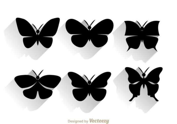 Butterfly net image Royalty Free Stock SVG Vector