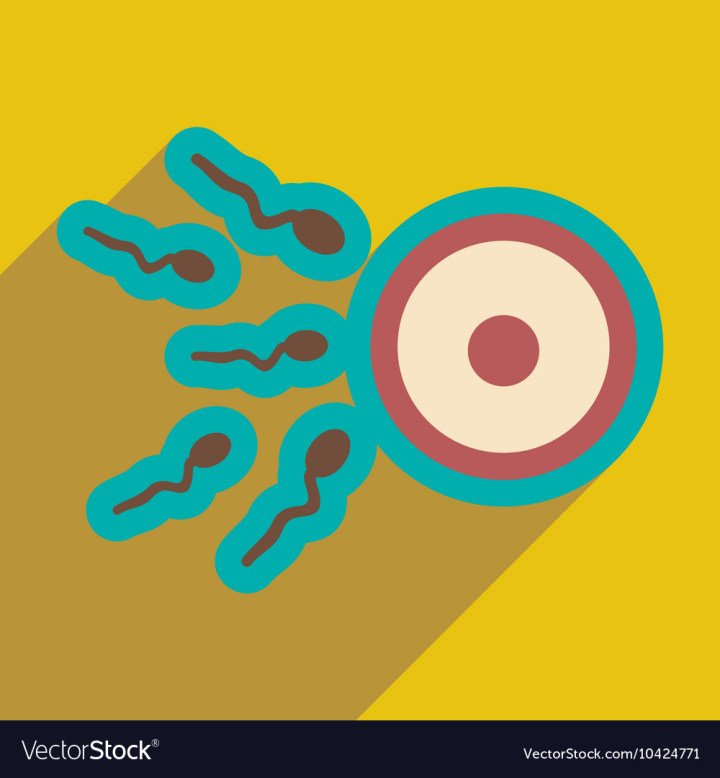 Free Flat Icon With Long Shadow Sperm And Egg Vector Image Nohatcc 5795