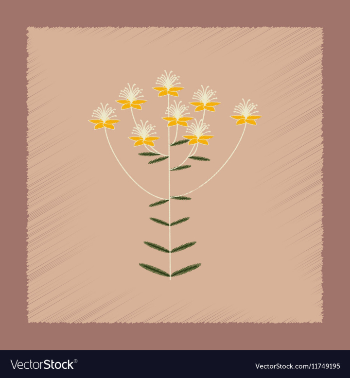 style,shading,flat,icon,plant,wild,hypericum,nature,medical,wildlife,medicinal,yellow,summer,flora,flower,wildflower,floral,leaf,herb,antidepressant,blossom,branch,healthcare,healthy,depression,bouquet,health,medicine,bloom,beautiful