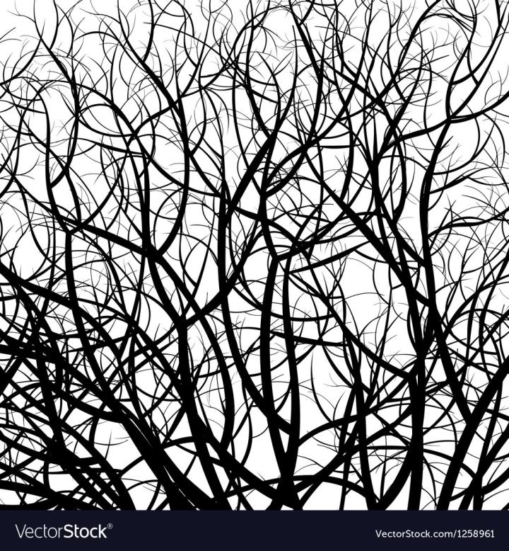tree,pattern,branch,wood,forest,background,black,organic,shape,nature,creative,isolated,chaotic,design,plant,environment,growth