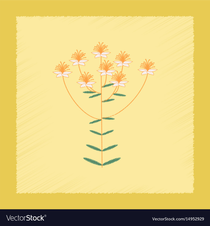 style,shading,flat,icon,plant,wild,hypericum,nature,medical,medicinal,summer,flora,flower,wildflower,herb,floral,leaf,wildlife,healthcare,antidepressant,blossom,branch,healthy,depression,bouquet,health,medicine,yellow,bloom,beautiful