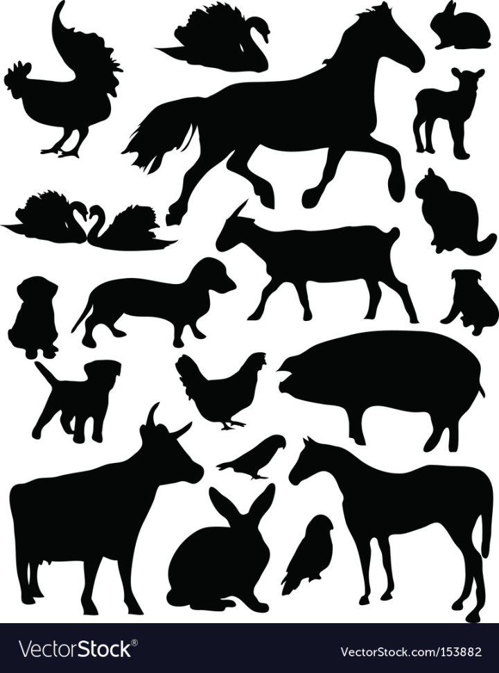 vectorstock,Animals,Cow,Goat,Chicken,Horse,Rabbit,Animal,Domestic,Dog,Cat,Parrot,Pig,Rooster,Bunny,Kitty,Lamb,Cattle,Chick,Hen,Hound,Bird,Design,Nature,Puppy,Isolated,Moving,Mixed,Pussycat