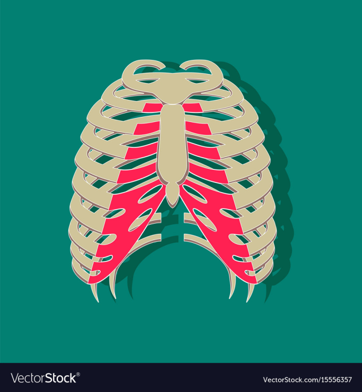 Skeleton Chest - Skeleton Chest - Sticker