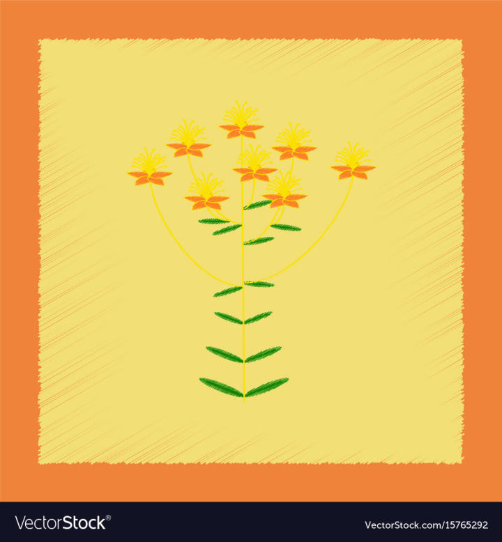 flora,style,shading,icon,flat,plant,wild,hypericum,nature,leaf,wildlife,medicinal,wildflower,herb,medical,flower,summer,floral,health,bouquet,branch,bloom,depression,healthy,healthcare,medicine,blossom,antidepressant,yellow,beautiful