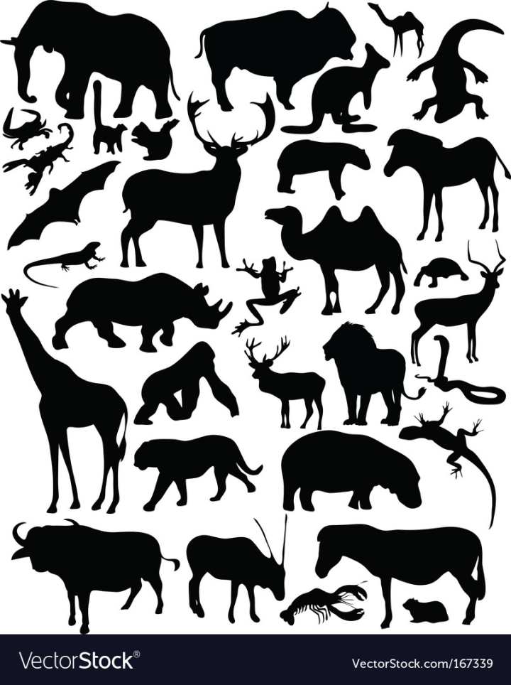 vectorstock,Animals,Animal,Elephant,Frog,Bear,Buffalo,Africa,Wild,Elk,Alligator,Gorilla,Lemur,Bull,Giraffe,Leopard,Cheetah,Australia,Iguana,Camel,Deer,Bat,Crocodile,Antelope,Chipmunk,Crab,Bison,Kangaroo,Lion,Gnu,Hippopotamus,Cayman