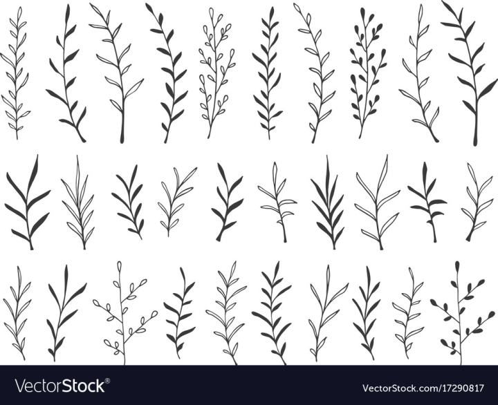 Hand drawn leaves and branch isolated silhouette on white. Vector