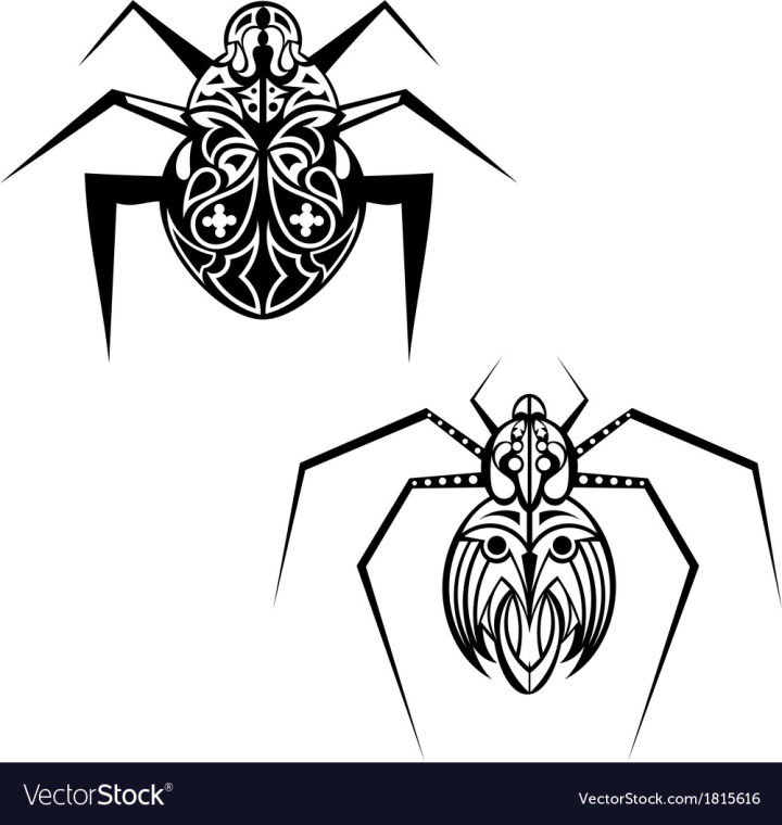 Traditional American Spider on Arm Tattoo – Joe Haasch Tattoo