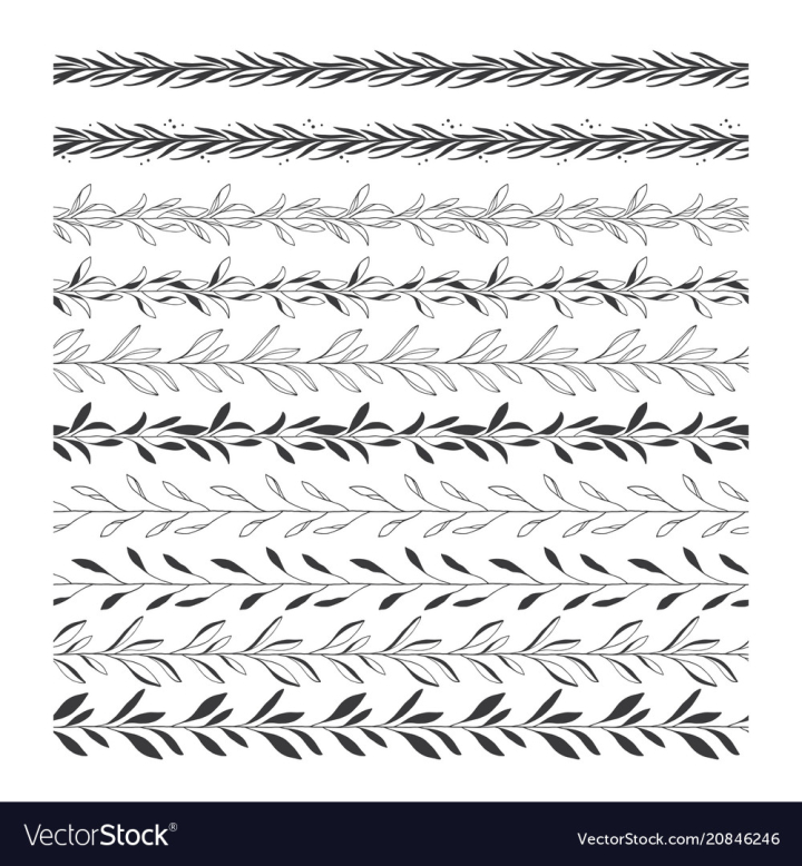 vectorstock,Borders,Border,Art,Clip,Leaf,Floral,Wedding,Wreath,Leaves,Botanical,Dividers,Drawn,Hand,Black,Doodle,White,Pattern,Brushes,Frame,Branch,Illustration,Decorative,Design,Element,Laurel,Abstract,Patterns,Card,Ornament,Round,Set,Vector,Sketch,Ink,Pen,Shape,Foliage,Decoration,Flourishes,Graphic,Style,Drawing,Modern,Collection,Isolated,Scribble,Invites