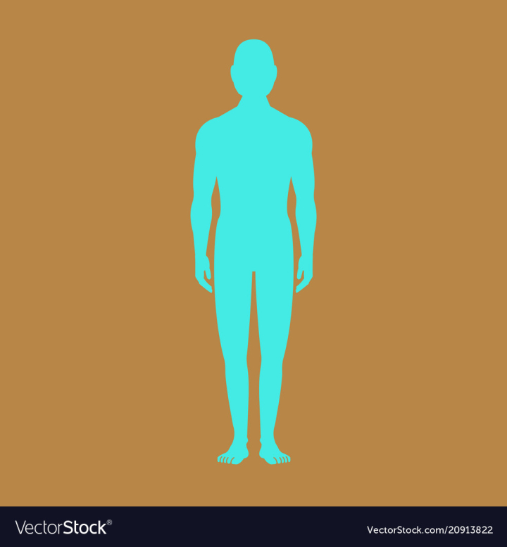 male silhouette body