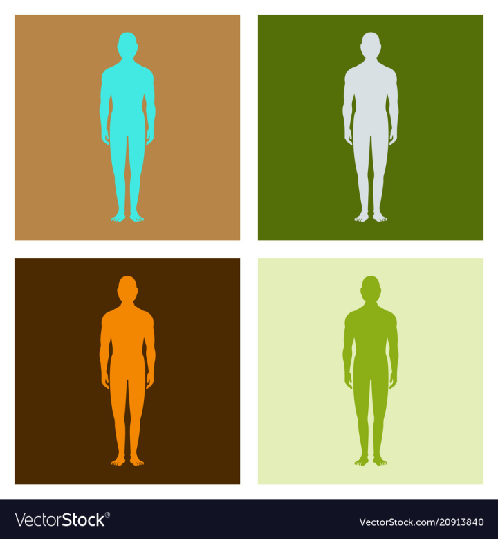Free Male Human Body Silhouette With Shadow Vector Image Nohat Cc