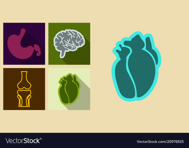 orthopedic,cartilage,icon,medical,bone,symbol,human,healthcare,joint,knee,sign,injury,anatomical,anatomy,femur,disease,emblem,osteoporosis,skeleton,pain,vector,logo,illustration,surgery,biology,silhouette,body,health,simple,leg,care,person,science,movement,arthritis,patella,meniscus,outline,rheumatism,orthopaedic,fibula,tibia,eps,white,replacement,pictograph,skeletal,contour,shape,illness,spine,biological,x-ray,organ,patient,black,foot,medicine,isolated,healthy