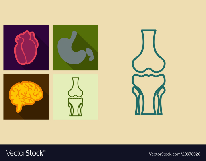 cartilage,icon,medical,knee,symbol,human,healthcare,bone,joint,sign,injury,femur,anatomical,anatomy,osteoporosis,disease,emblem,orthopedic,skeleton,pain,vector,logo,illustration,surgery,biology,silhouette,body,health,simple,leg,care,person,science,movement,arthritis,patella,meniscus,outline,rheumatism,orthopaedic,fibula,tibia,eps,white,replacement,pictograph,skeletal,contour,shape,illness,spine,biological,x-ray,organ,patient,black,foot,medicine,isolated,healthy