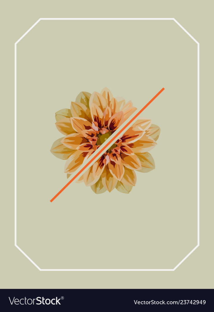 flower,half,orange,dahlia,line