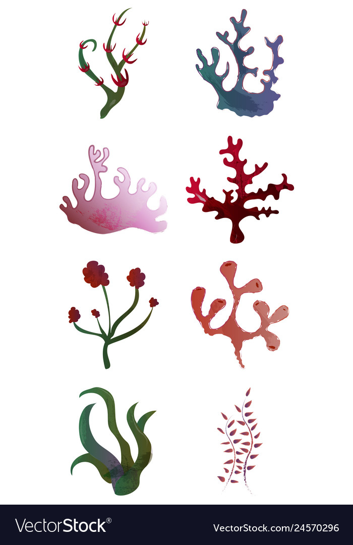 Isolate Illustration Seaweed Aquarium Decoration Element Stock