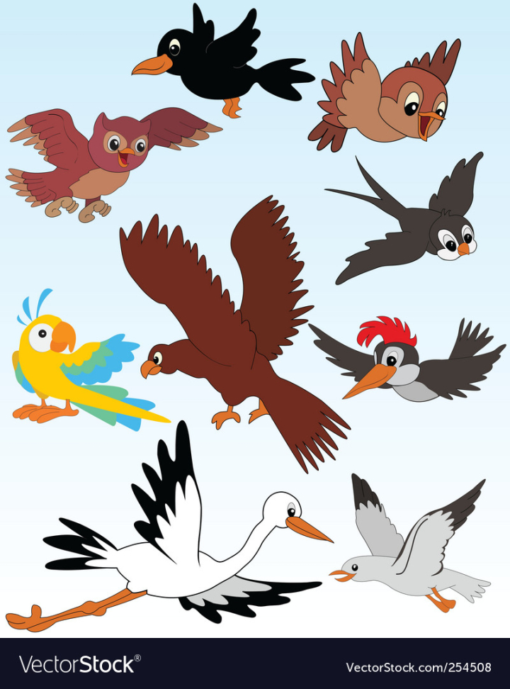 vectorstock,Birds,Bird,Cartoon,Woodpecker,Owl,Eagle,Crow,Parrot,Hawk,Sparrow,Stork,Kid,Animal,Funny,Swallow,Freedom,Gull,Raven,Rook,Nature,Comic,Drawing,Fly,Design,Feather,Child,Crest,Claw