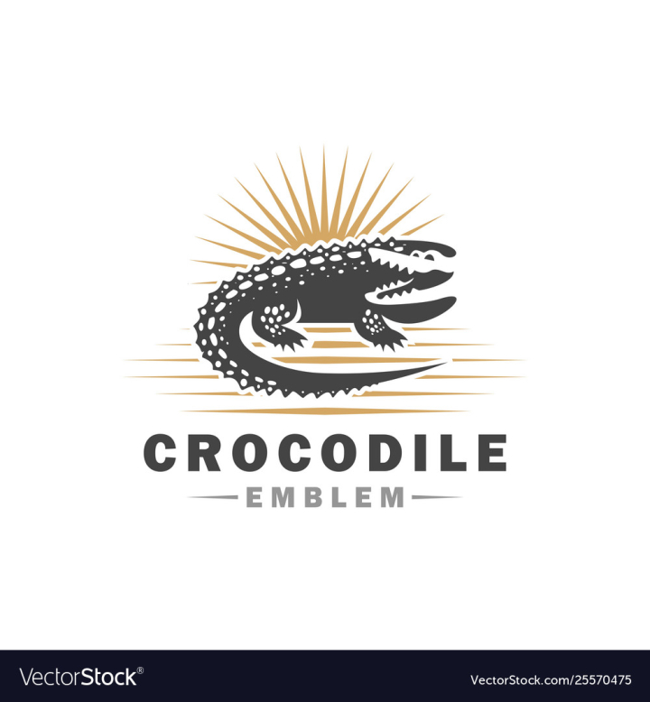 Vector Of Crocodile Design On White Background Wild Animals
