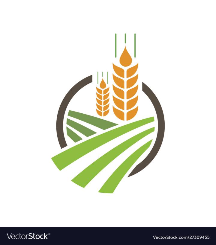 Agriculture wheat Logo Template vector icon design 626874 Vector Art at  Vecteezy