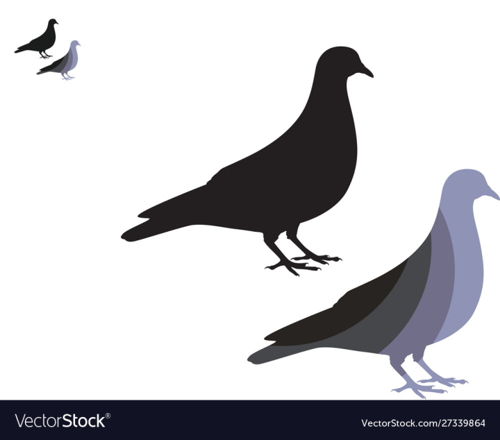 Colorful Abstract Pigeon Logo Illustration Template Download on Pngtree |  Conception de logo, Modèle d'illustration, Design logo de mode