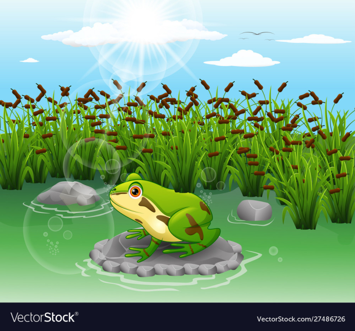 Baby Frog Stock Photos, Images and Backgrounds for Free Download