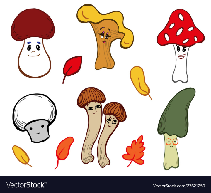 Edible and inedible mushrooms collection in... - Stock Illustration  [106819848] - PIXTA