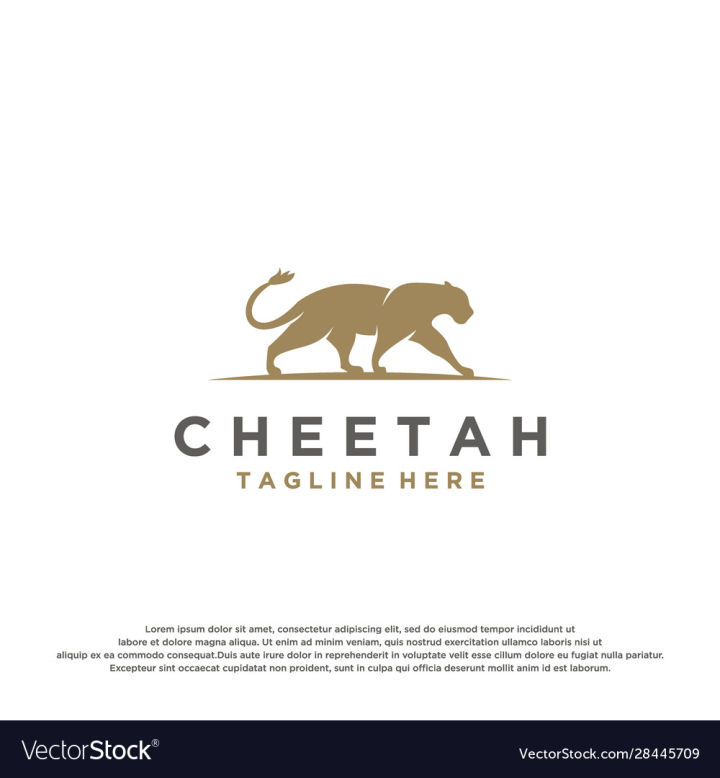 Cheetah Logo design - Cheetah is a great brand for anything