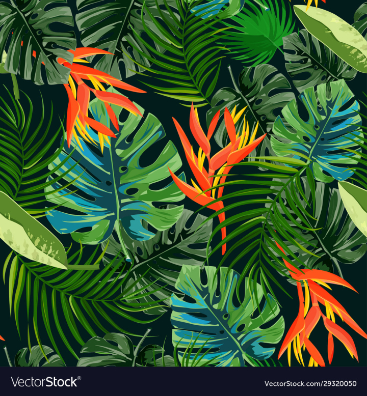 Free: heliconia and strelizia flowers - nohat.cc