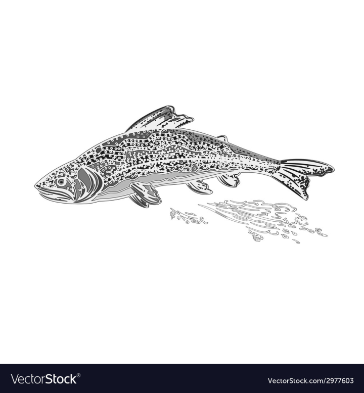 Free: Rainbow trout as vintage engraved vector image 