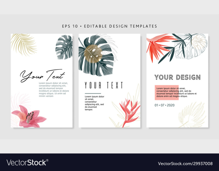 vectorstock,Tropical,Leaf,Floral,Design,Bright,Template,Pattern,Textile,Hawaii,Watercolor,Heliconia,Fashion,Palm,Ornament,Colorful,Hawaiian,Seamless,Tropic,Nature,Background,Jungle,Drawing,Beach,Flower,Garden,Blossom,Beauty,Green,Flora,Exotic,Fabric,Bouquet,Decoration,Isolated,Beautiful,Botany,Botanical,Aloha,Illustration,White,Wallpaper,Red,Petal,Summer,Plant,Spring,Season,Paradise,Realistic,Painting,Strelitzia,Vector