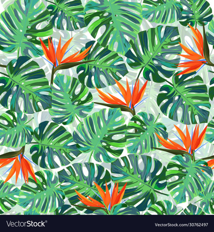 vectorstock,Tropical,Pattern,Background,Leaves,Floral,Seamless,Flower,Abstract,Hawaii,Hawaiian,Bird,Monstera,Patchwork,Paradise,Geometric,Leaf,Exotic,Plant,Palm,Beach,Flowers,Colorful,Natural,Nature,Rainforest,Wallpaper,Jungle,Style,Summer,Fashion,Foliage,Set,Tropic,Strelitzia,Design,Cover,Decorative,Branch,Green,Flora,Holiday,Decoration,Backdrop,Mosaic,Aloha,Illustration,Of,Paper,Vacation,Poster,Trendy,Vector